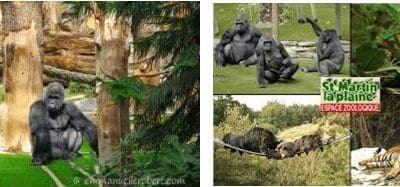 Grande Section : Sortie au zoo des maternelles​